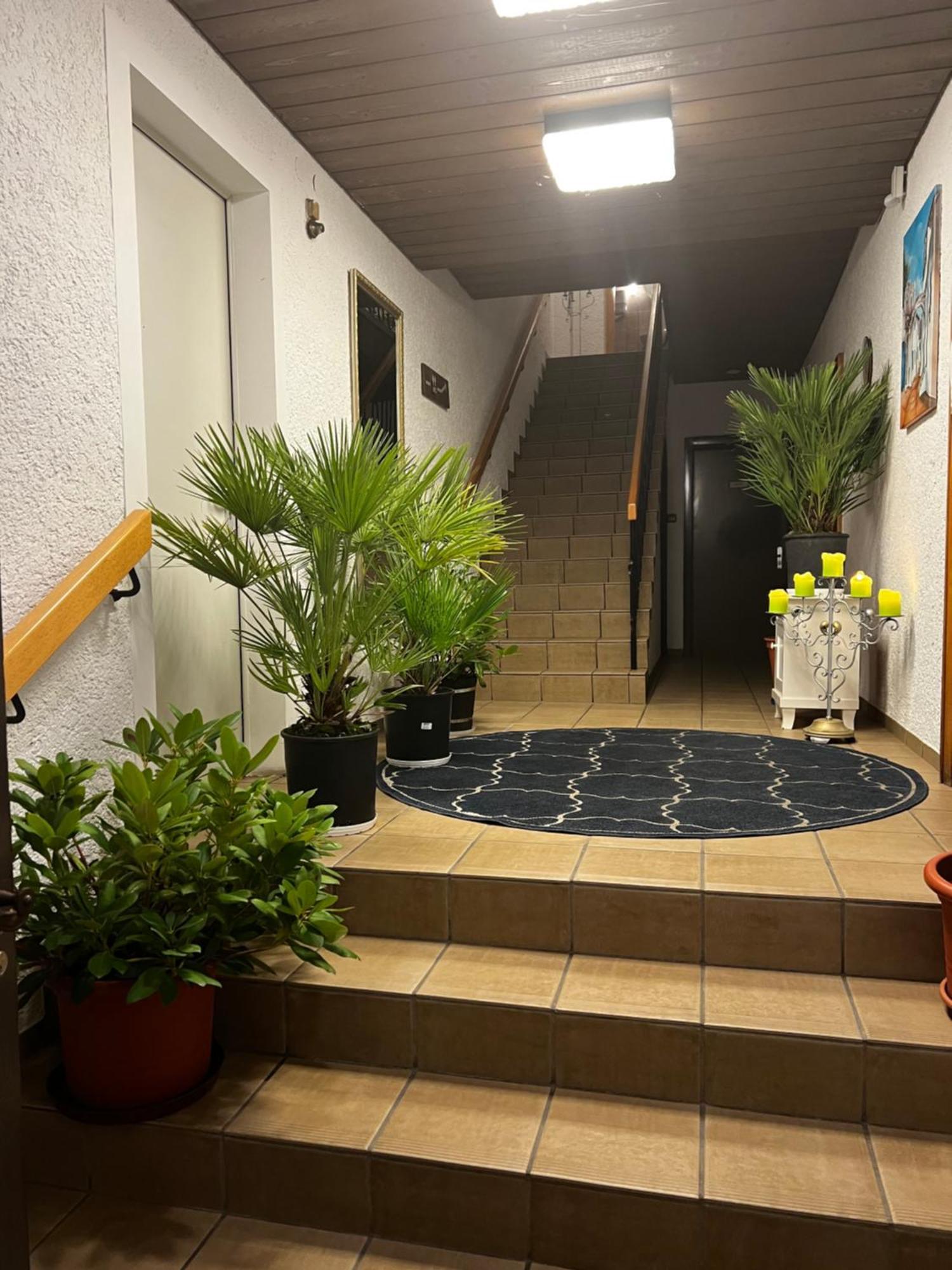 Gasthof Stern Asteri Frickenhausen  エクステリア 写真